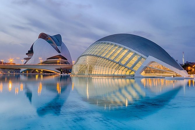 Valencia Private Walking Tour with a Local - Key highlights you’ll feel in Valencia