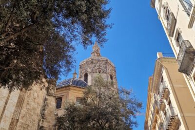Valencia Private Walking Tour with Official Valencian Guide - The ticket reality: what’s included and what you may need to plan