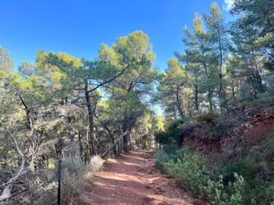 Valencia: Sierra Calderona & El Garbí Mountain hiking Tour - Meeting at Sagunto Station and riding comfortably to Beselga