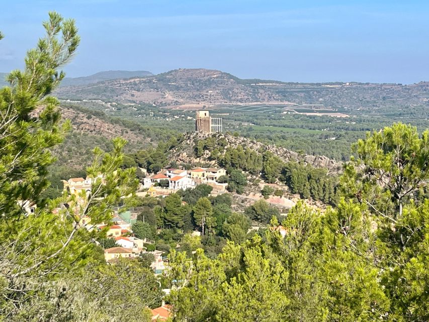Valencia: Sierra Calderona & El Garbí Mountain hiking Tour - Summit calm: breathing, stretching, and Valencian snacks with a workshop