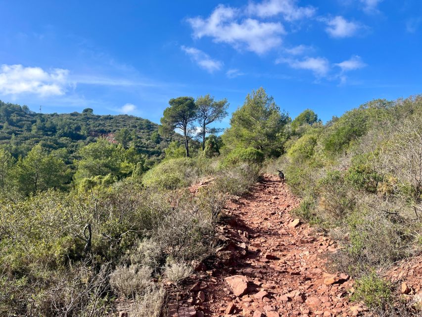 Valencia: Sierra Calderona & El Garbí Mountain hiking Tour - Returning to Beselga: the downhill view-shift you’ll actually notice