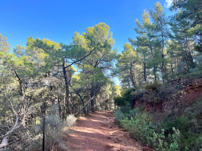 Valencia: Sierra Calderona & El Garbí Mountain hiking Tour - Meeting at Sagunto Station and riding comfortably to Beselga
