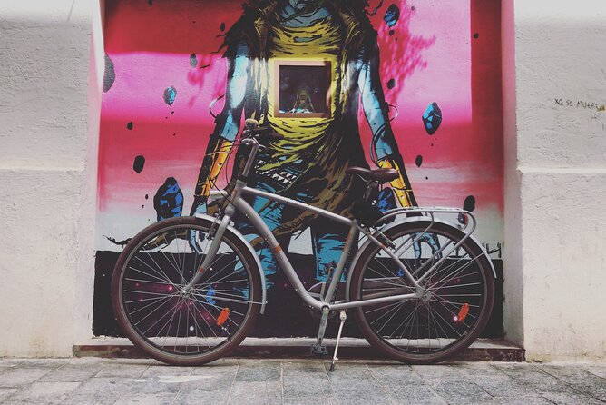 Valencia Street Art | Private Tour by Bike or Electric Ride - Who Should Book This Private Valencia Bike or Electric Tour