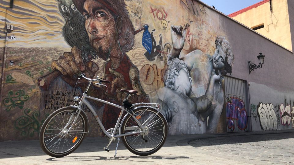 Valencia: Street Art Tour on Bicycle, E-Bike or E-Step - Starting With the Great Flood of 1957: How Disaster Turned Into Art