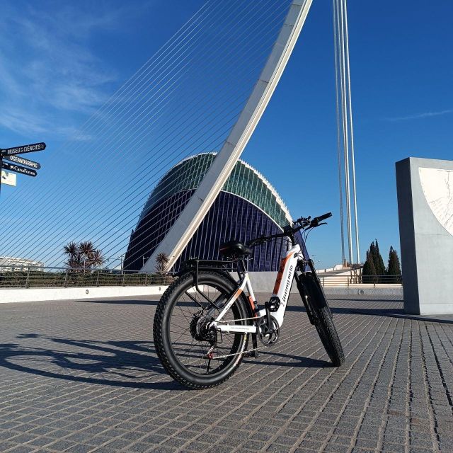 Valencia: The Albufera Lake Self-Guided E-Bike Tour - Ruzafa to Albufera: A simple half-day ride