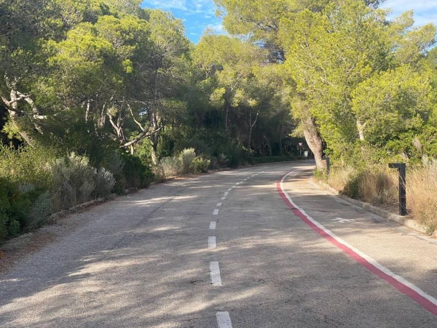 Valencia: The Albufera Lake Self-Guided E-Bike Tour - Ruzafa streets and the start of the easy roll