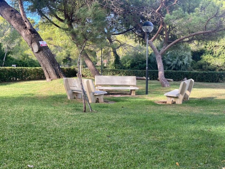 Valencia: The Albufera Lake Self-Guided E-Bike Tour - Turia Gardens: biking on Valencia’s old river line