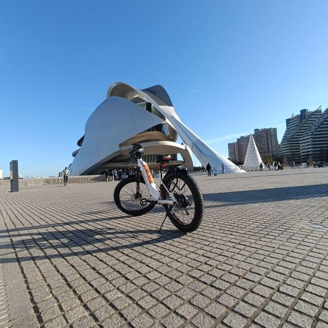 Valencia: The Albufera Lake Self-Guided E-Bike Tour - City of Arts and Sciences: futuristic architecture on wheels