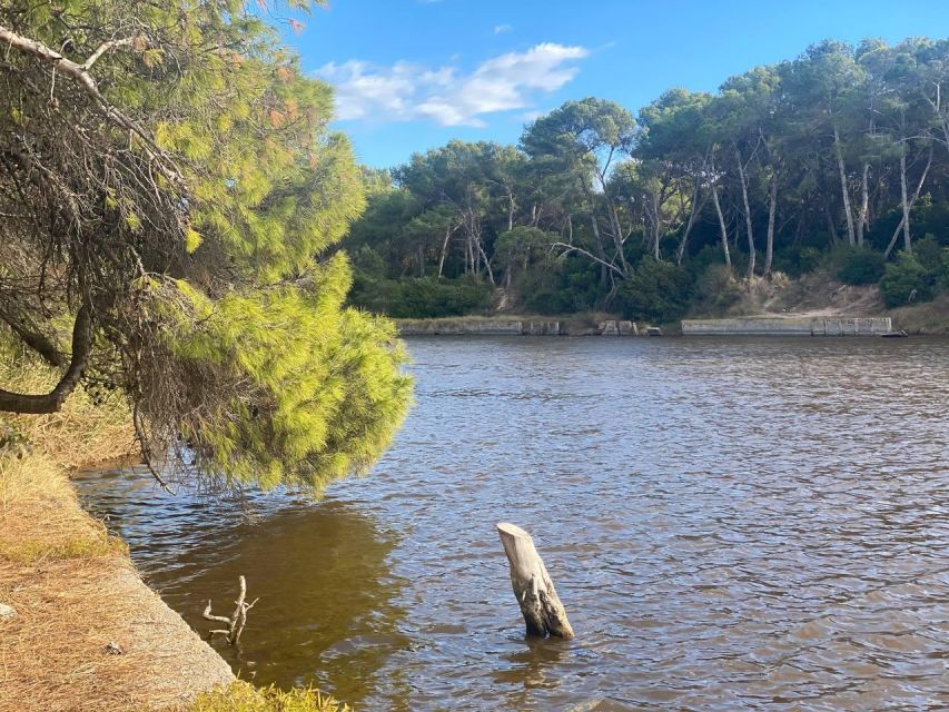Valencia: The Albufera Lake Self-Guided E-Bike Tour - What to pack (so 6 hours feels easy)