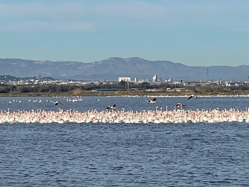 Valencia: The Albufera Lake Self-Guided E-Bike Tour - Where to pick up your e-bike (and what to check first)