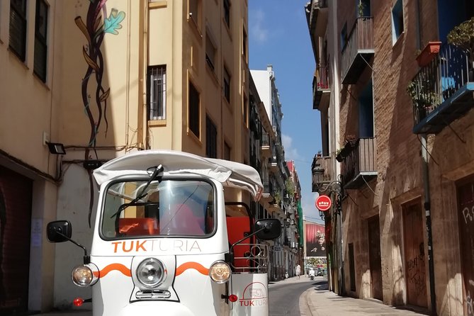 Valencia: Tuk Tuk Historical Tour - Key Things You’ll Notice on This Tuk Tuk Tour