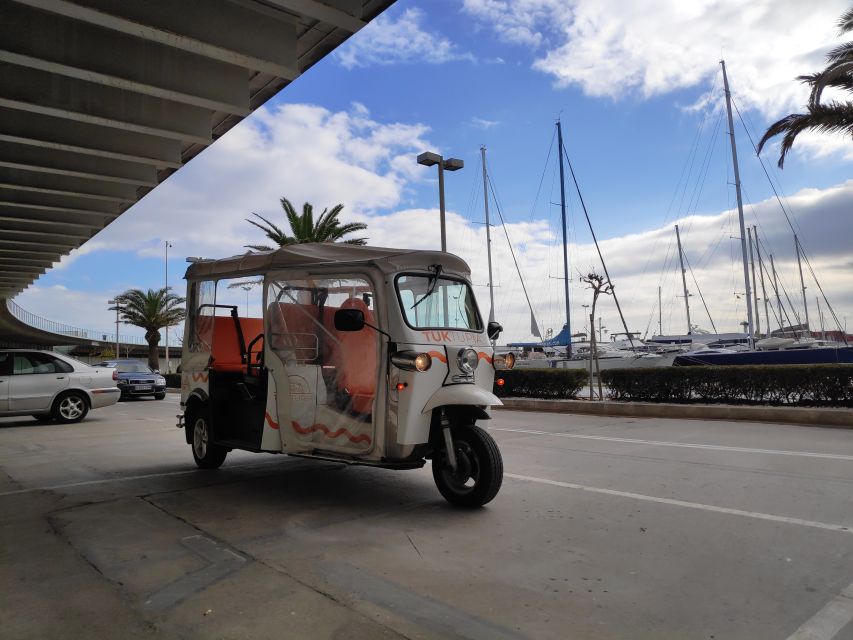 Valencia: Tuk Tuk Modern Tour - What You’ll Learn: Culture, Traditions, and Real Local Advice