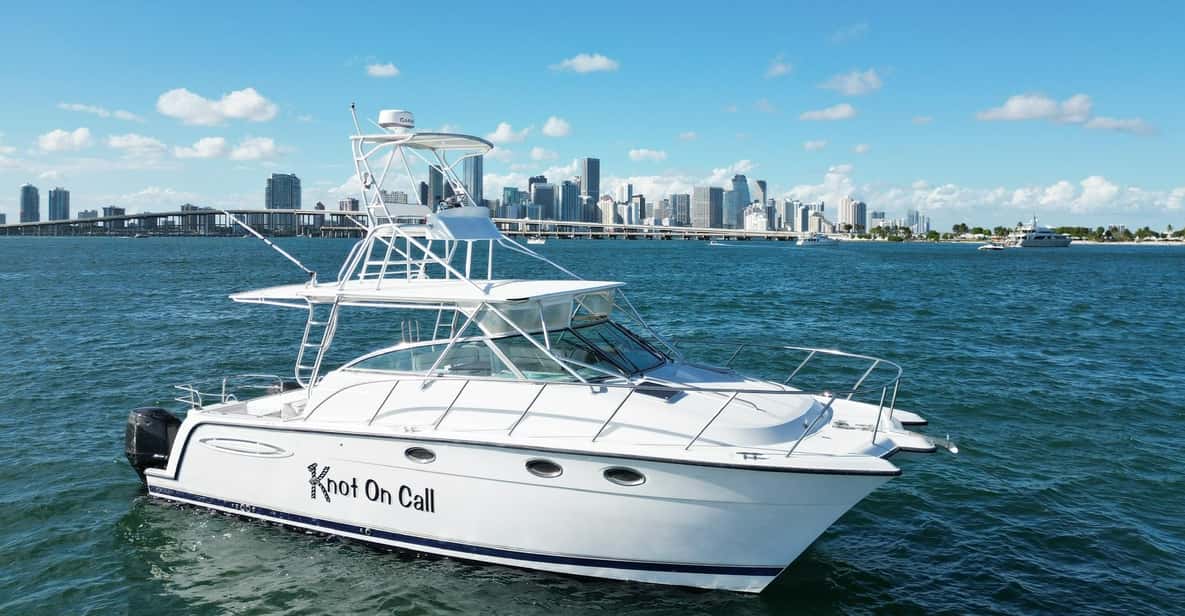 Valencia: VIP Sunset Cruise in Catamaran with drink - Price and value: is $40 fair for a Valencia VIP sunset?