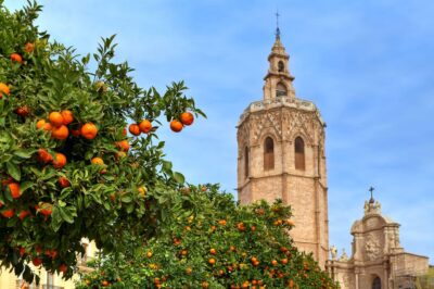 Walking Tour through Valencia's Historic Centre - Why the guide’s angle matters in Valencia’s old centre