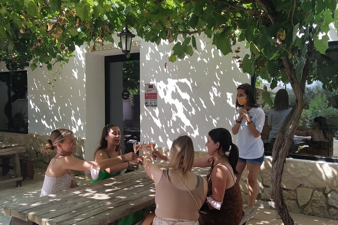 Wine tasting tour - Two Tastings, Six Wines, and No Winery Tours: The Format Explained
